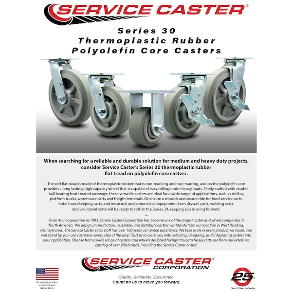 8 Inch SS Thermoplastic Rubber Caster Set with Roller Bearing and Swivel Lock